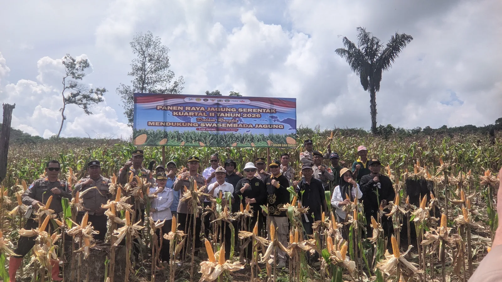 Panen Raya Jagung Digagas Kapolsek Loa Janan, Warga Loa Duri Ulu Tunjukkan Kekuatan Pertanian Desa