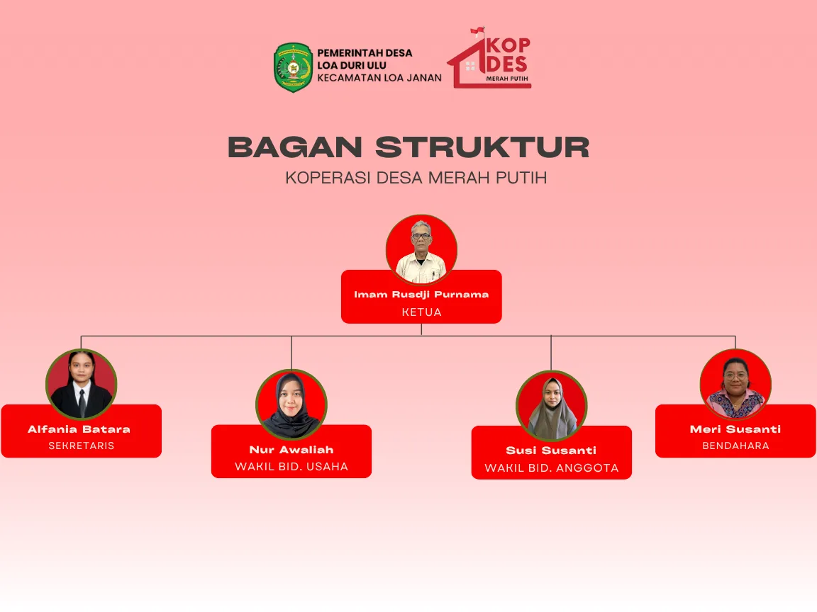 Bagan organisasi