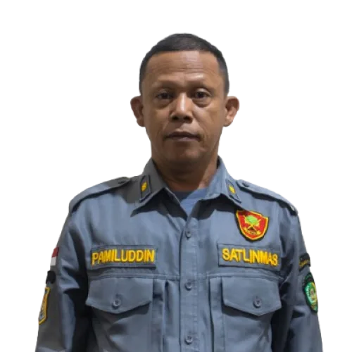 PAMILUDDIN