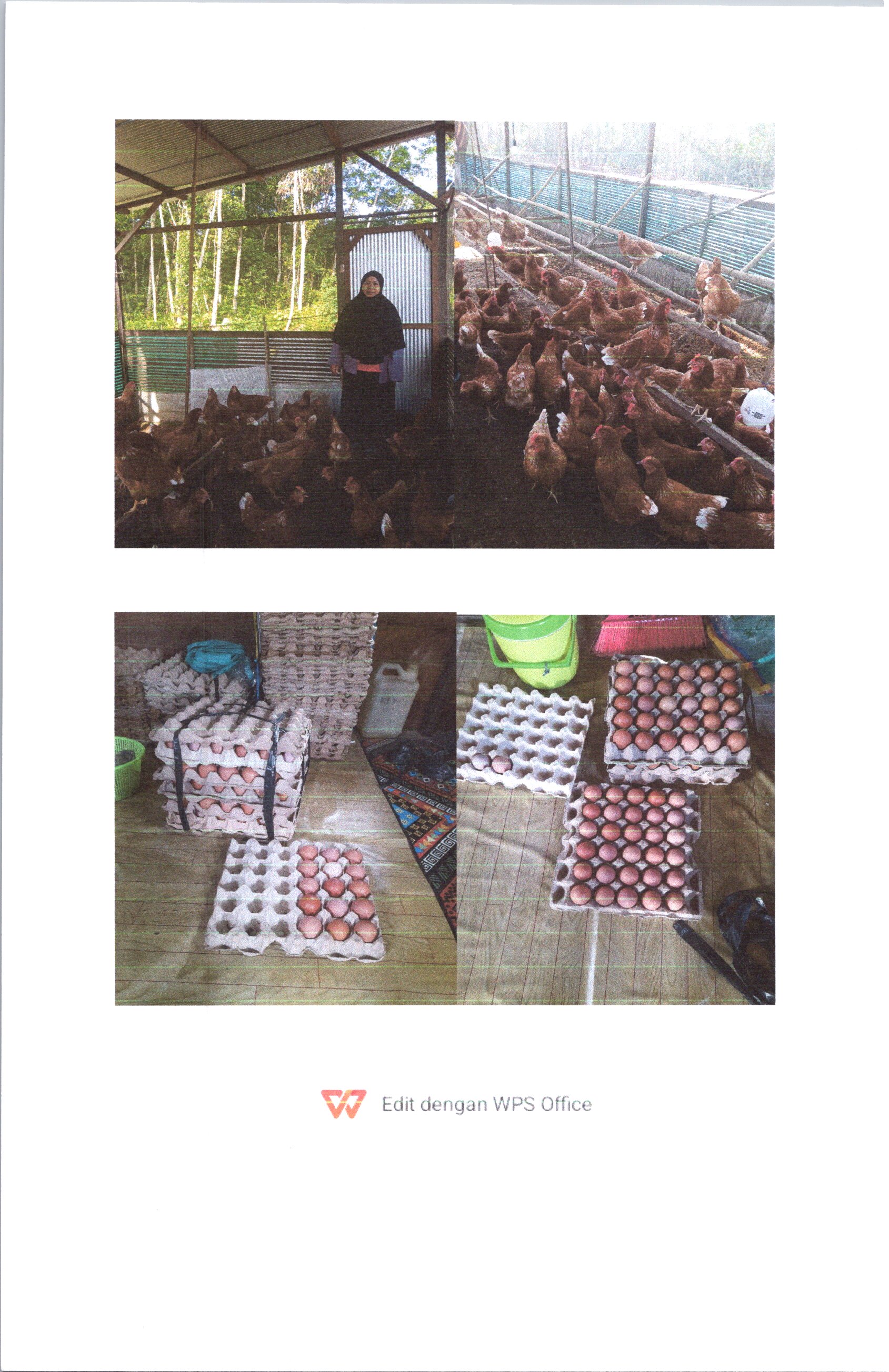 AL FALAH FARM
