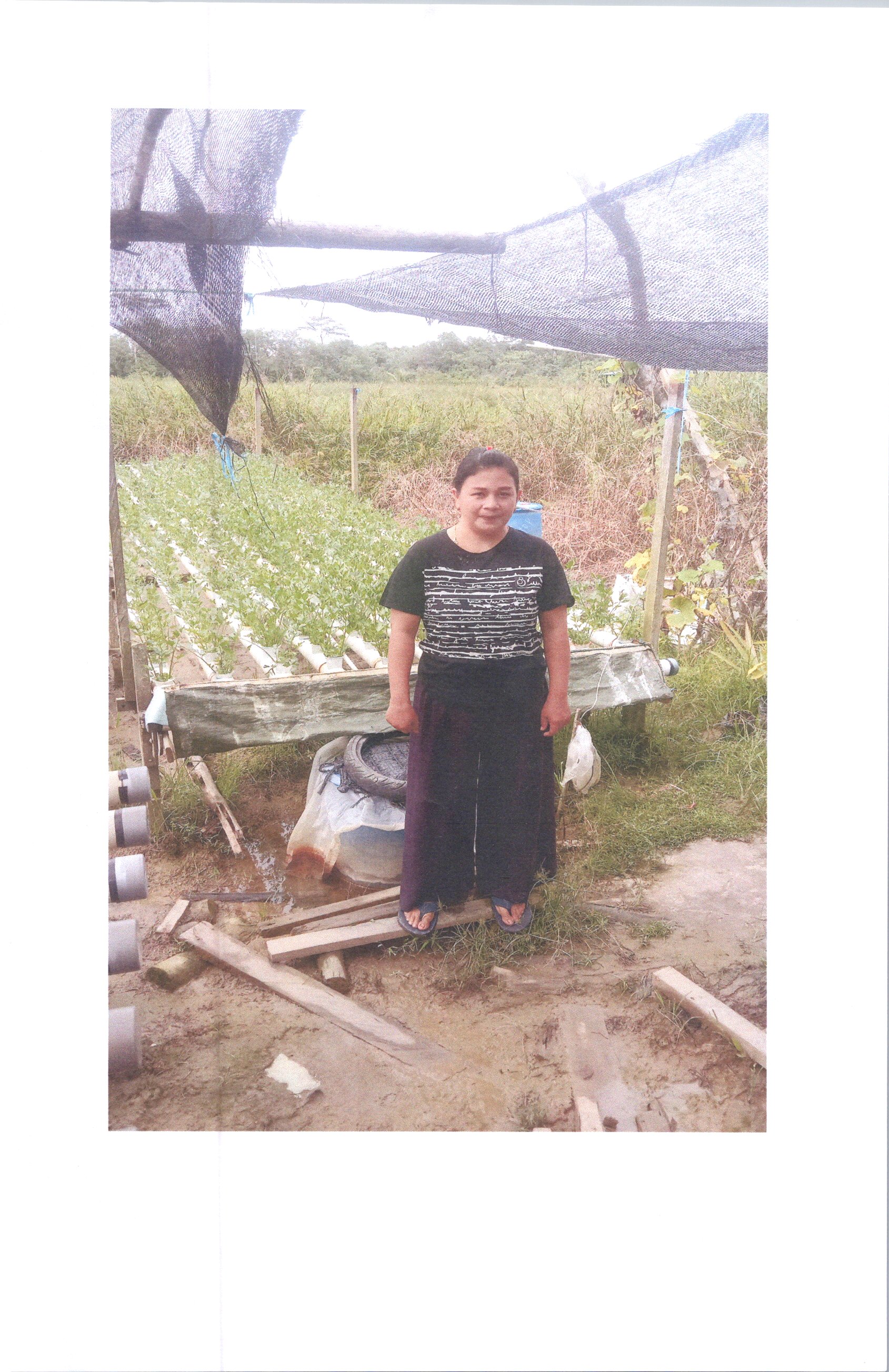 KEBUN HIDROPONIK DAN PERDAGANGAN