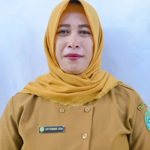 LENY FATMAWATI