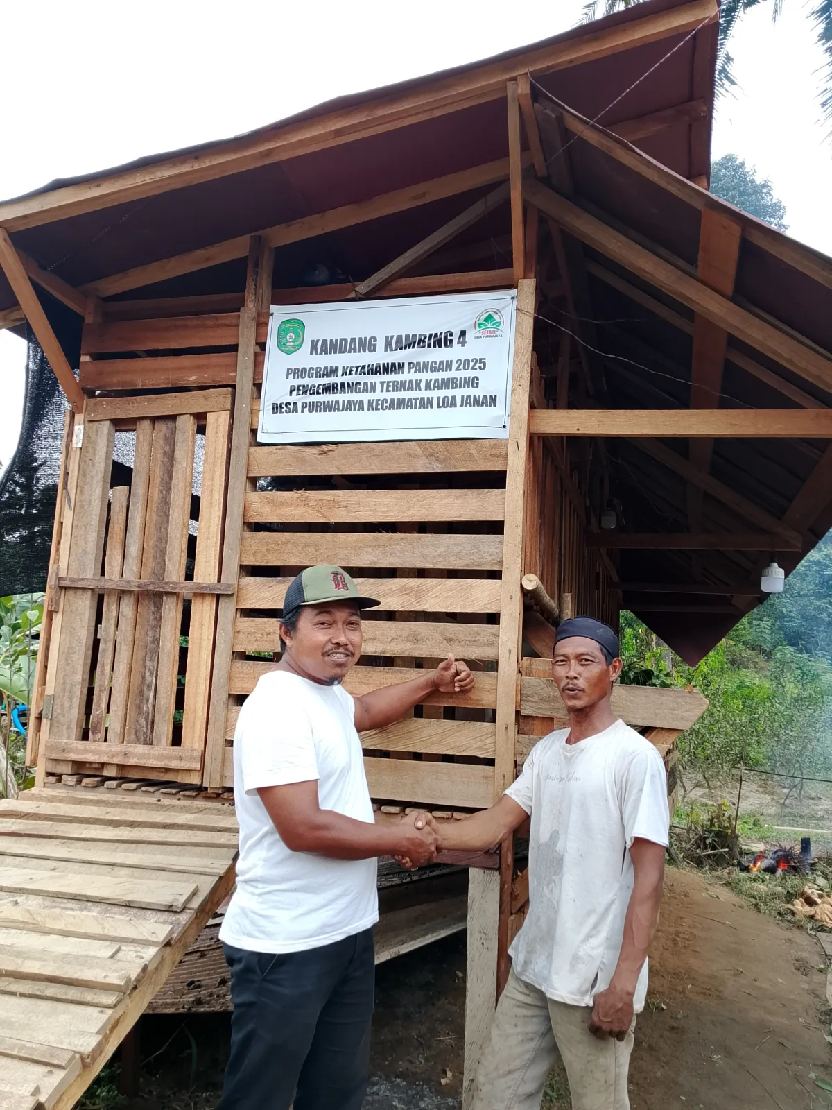 Program Ketahanan Pangan Pengembangan Ternak Kambing